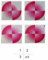 07.png